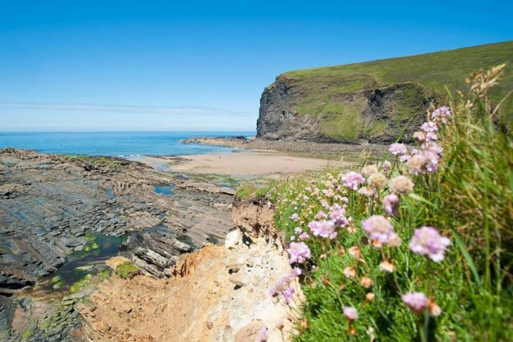 Kallowen Cottage At Crackington Haven, Near Bude And Boscastle, Cornwall Exteriér fotografie