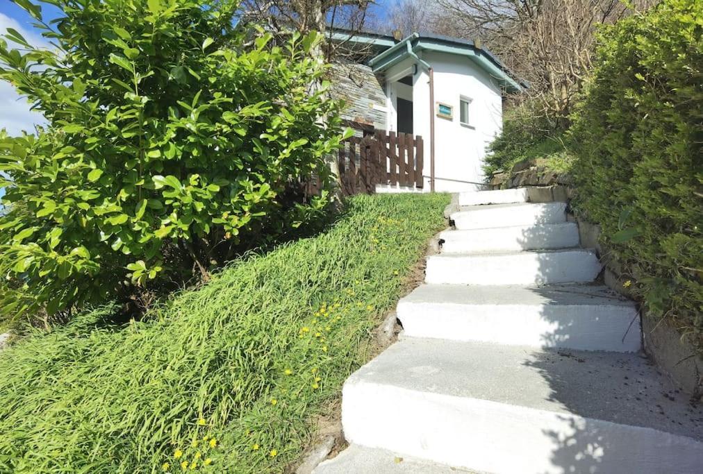 Kallowen Cottage At Crackington Haven, Near Bude And Boscastle, Cornwall Exteriér fotografie